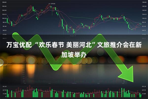 万宝优配 “欢乐春节 美丽河北”文旅推介会在新加坡举办